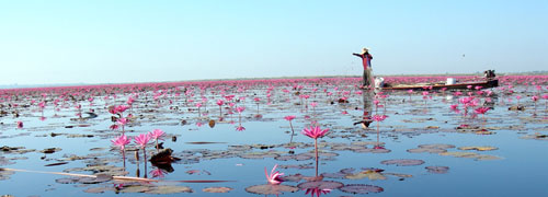 Red Lotus Sea or Talay Bua Daeng